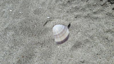 20170523_141214.jpg