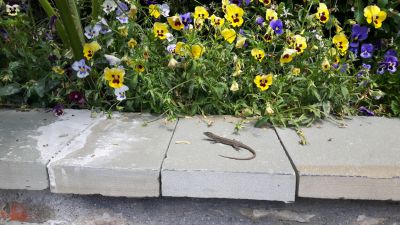 20170526_110620.jpg