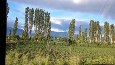 20170526_184645.jpg