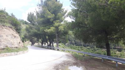 20170527_113000.jpg