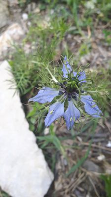 20170527_113536.jpg