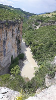 20170527_122857.jpg