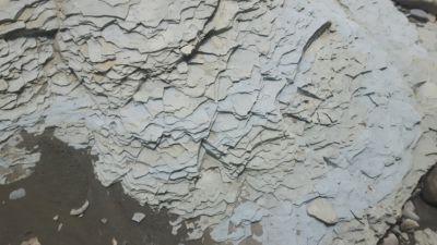 20170527_130648.jpg