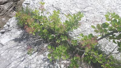 20170527_131657.jpg