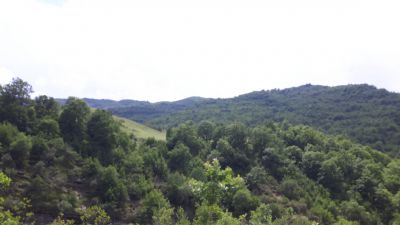 20170527_134950.jpg