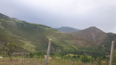 20170527_142630.jpg