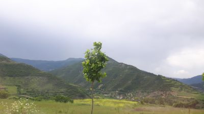 20170527_142720.jpg