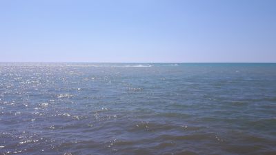 20170529_151916.jpg