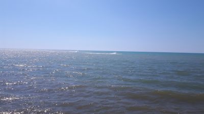 20170529_152424.jpg