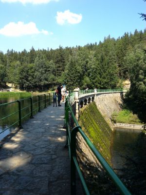 IMG_20010808_130156.jpg