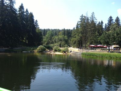 IMG_20010808_130430.jpg