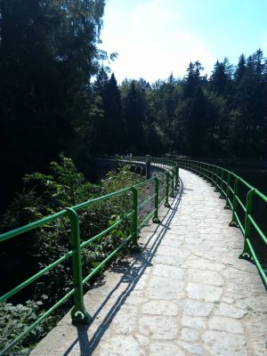 IMG_20010808_130604.jpg